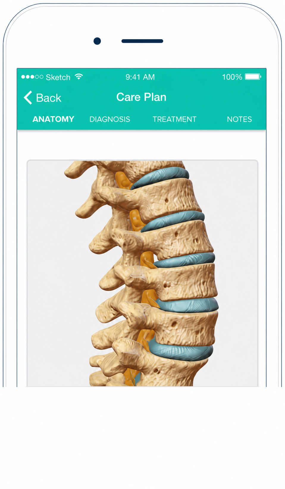 Orca Health mobile Care Plan showing interactive spine anatomy content